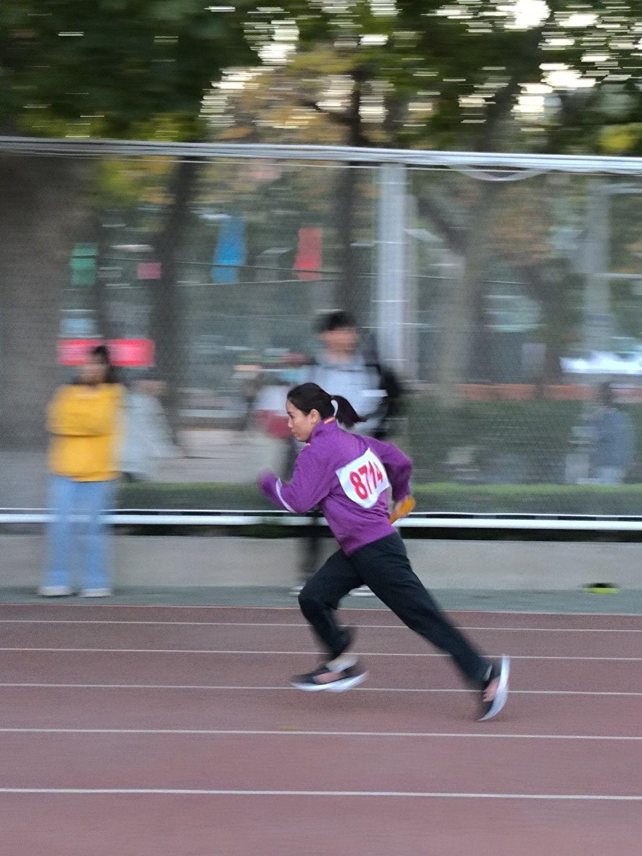 体育平台